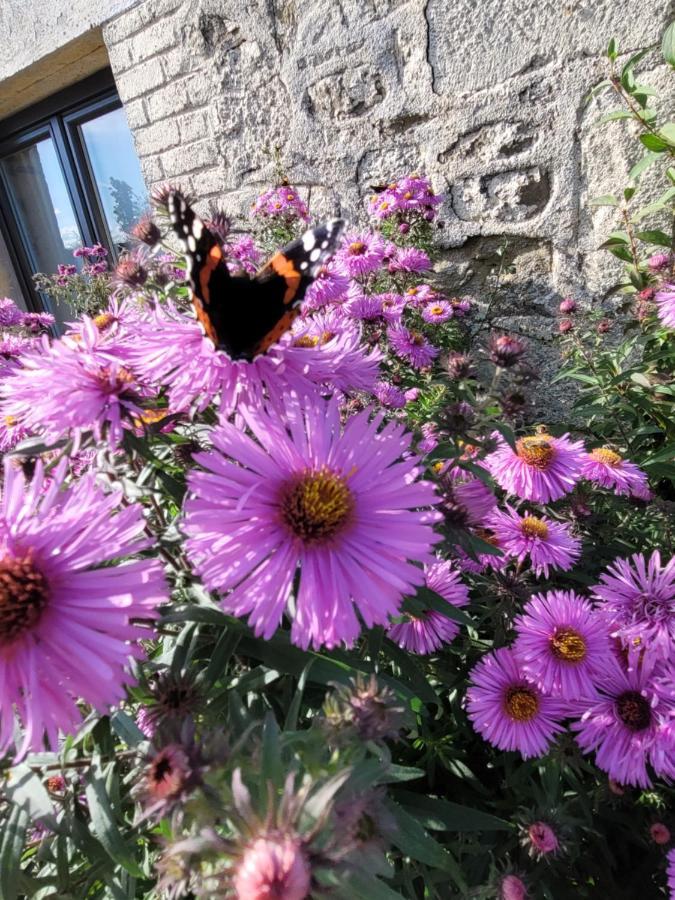 Studio Bienvenue Du Cote De Chez Nous Avec Jardin Privatif Wignehies Exterior photo