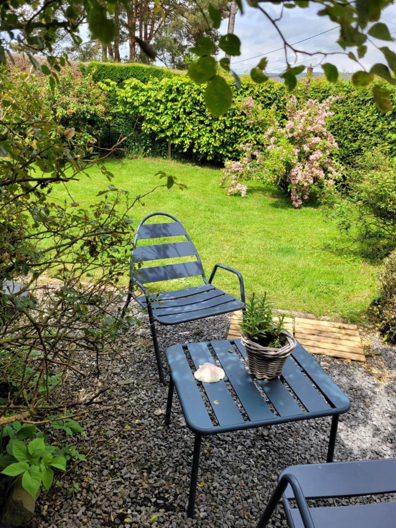 Studio Bienvenue Du Cote De Chez Nous Avec Jardin Privatif Wignehies Exterior photo